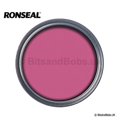 RONSEAL Garden Paint 750ml - PINK JASMINE