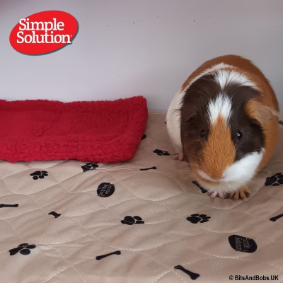 Simple Solution Washable Pet Mat - 2 x Medium