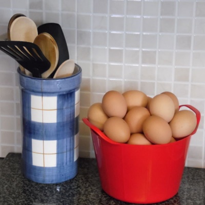 Rainbow Trug Mini-Tub Duck Egg and Sage Collection